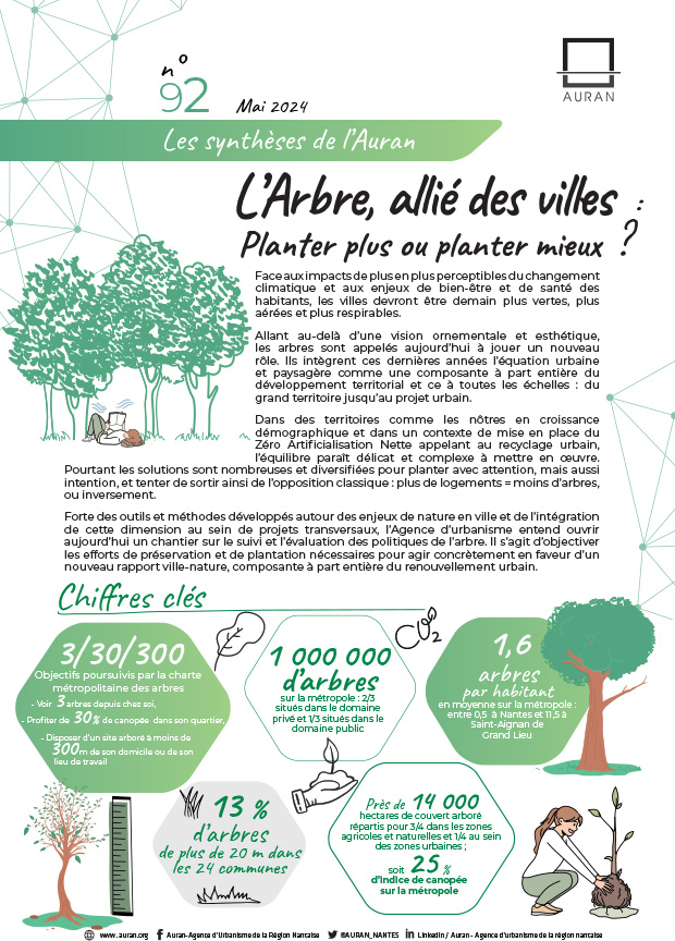 L’arbre, allié des villes : planter plus ou planter mieux ?