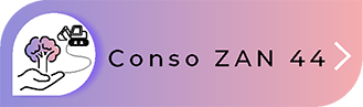 Conso ZAN